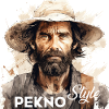 Pekno Style