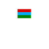 Russisk flag - Karelen