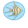 Aquarium Angelfish Aquarist Gift