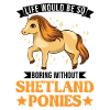 Shetland Pony Gift Shetty