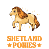 Cadeau poney Shetland Shetty