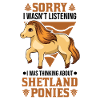 Shetland Pony Shetland-Pony Shetty