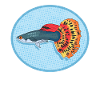 Aquarium Guppies Aquarist Aquaristics Gift