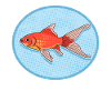 Aquarium Goldfish Aquarist Gift