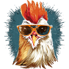 Hahn Sunglasses