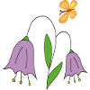 Tulips with butterfly