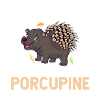 Love Porcupine