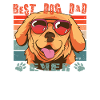 Dog Golden Retriever Dog Owner