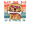 Dog Golden Retriever Dog Owner