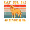 Dog Golden Retriever Dog Owner