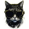 Cat with glasses