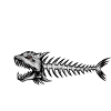 White Spiny Bone Fish