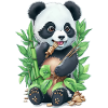 Panda bear eats bamboo