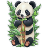 Panda bear eats bamboo