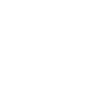 1970 Édition limitée