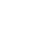 1975 Édition limitée