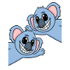 Koala Koalas