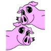 Cochons