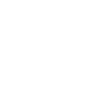 1977 Limitierte Auflage