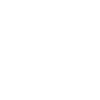 1981 Limitierte Auflage