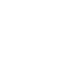1982 Limitierte Auflage