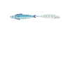 Fisch Fish