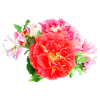 ROSEBUSH