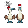 Merry Christmas Blue-footed