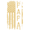 Grungy American Flag Typography