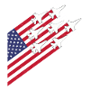 USA-Flagge und Kampfjets