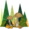 fungi
