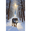 Loup | Prédateur | Chien | Mystique