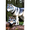 Wolf | Predator | Dog | Mystical