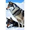 Wolf | Predator | Dog | Mystical