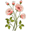 Fleur