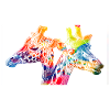 Bunte Giraffen