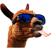 Alpaca Tongue Sunglasses