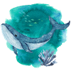 Blauwal Aquarell – Ocean Wildlife Art