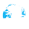 Tuna Fishing Club Tuna Fish