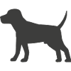 Hund