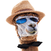 alpaca hut sonnenbrille fliege