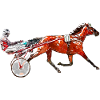 Trotter Trotting Race Design