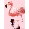 Falmingo trägt Sneaker