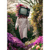 Flower TV Frauen