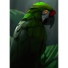 Grüner Dschungelvogel