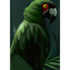 Grüner Dschungelvogel