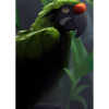 Grüner Dschungelvogel