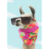 Ferienmode Lama