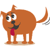 Hund