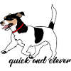 Hund